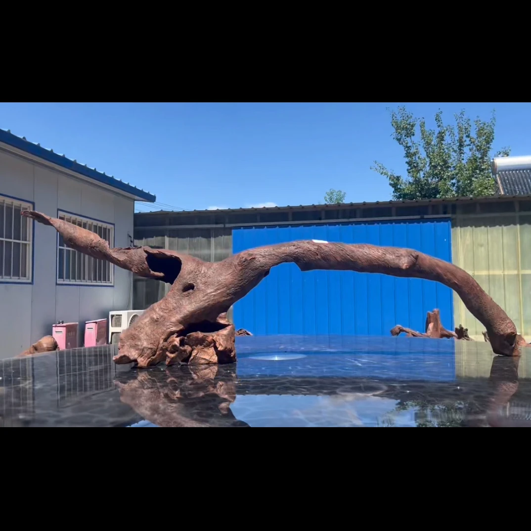 尺寸：120✖️18✖️35，鱼缸造景沉木，紫柚木，秒沉水，南美龙虎缸，包煮