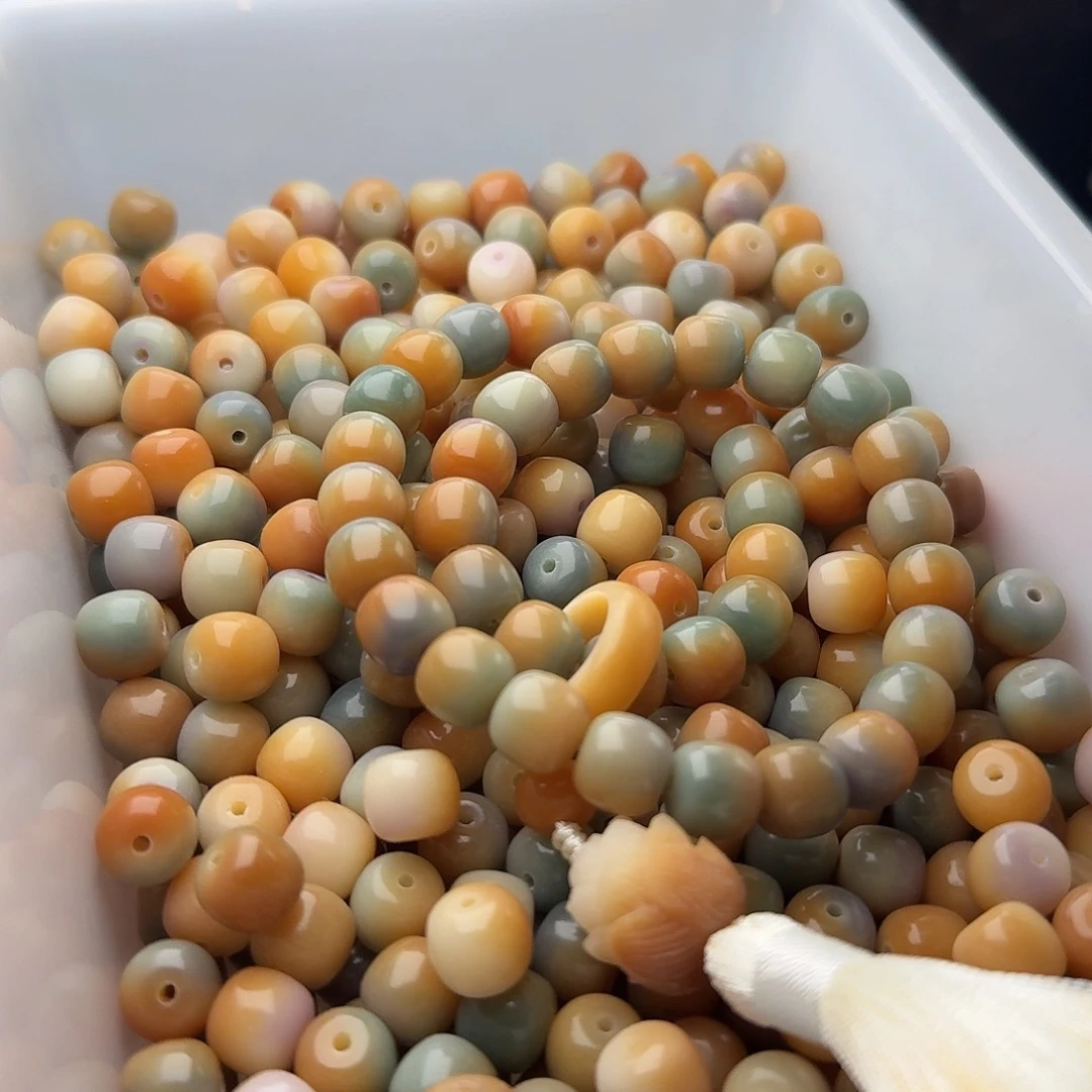 吊坠菩提根/象牙果50 颗小青芒 10 桶