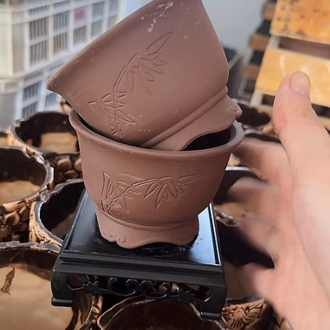 ··2盆++2个塑料托盘··