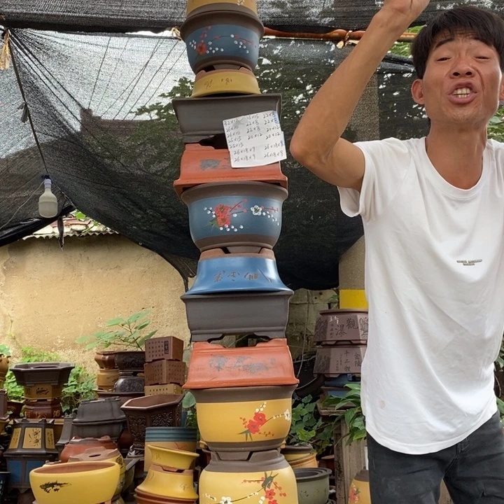 花盆紫砂没有人会觉得自己是真的喜欢