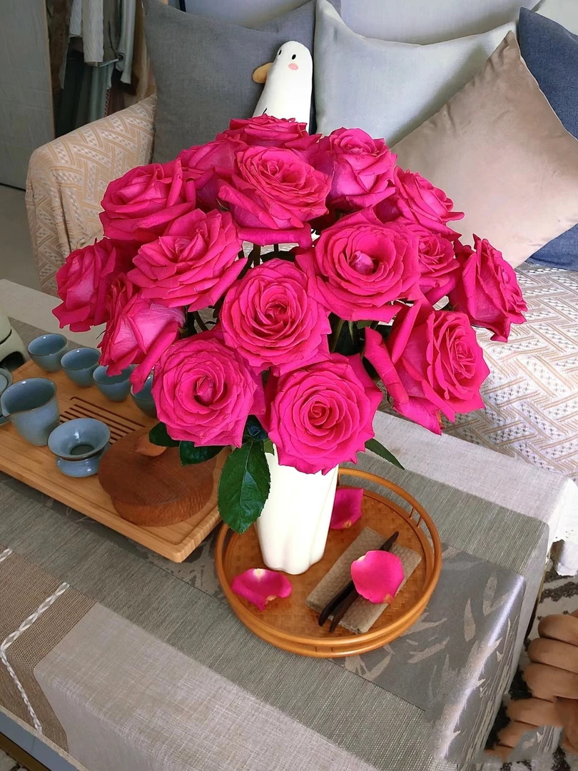 弗洛伊德玫瑰 鲜花 收到需醒花 云南基地直发 揽收无法退款