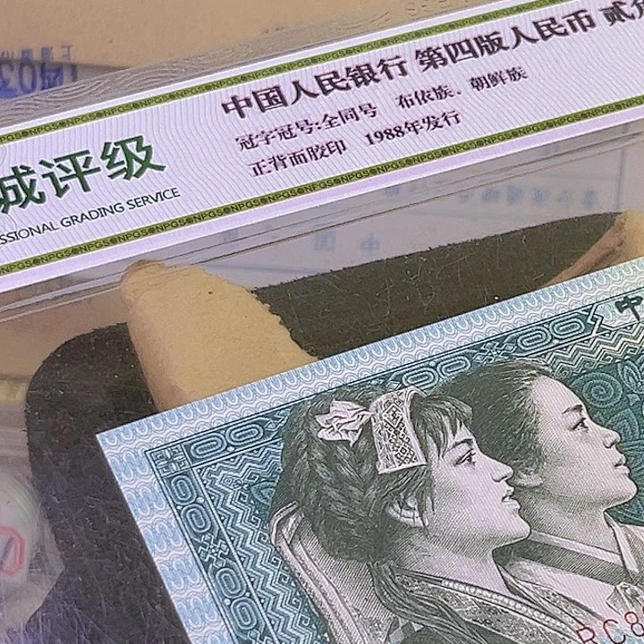 表***一2011多肉卷 50枚 888888888888