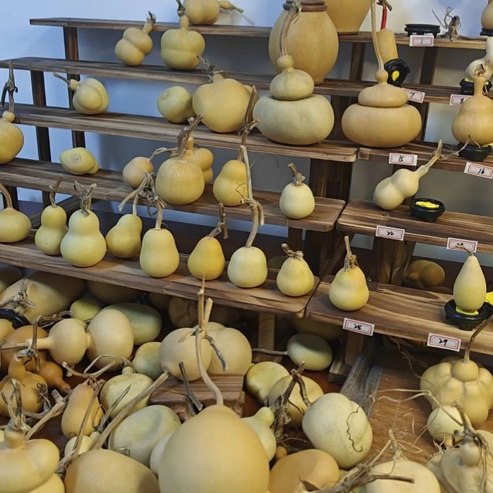 哈哈哈哈哈哈哈哈哈哈哈哈