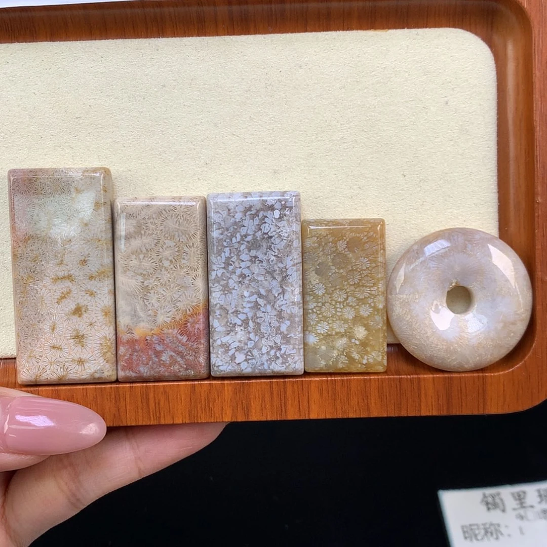 【闪购商品】颈饰未镶嵌硅化珊瑚（珊瑚玉）Ꭽ****