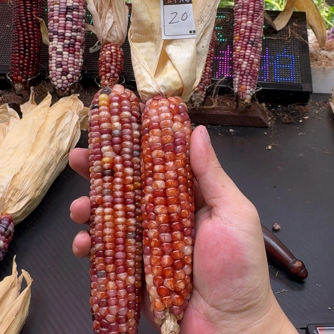 梨****吊坠柏香籽/百香籽