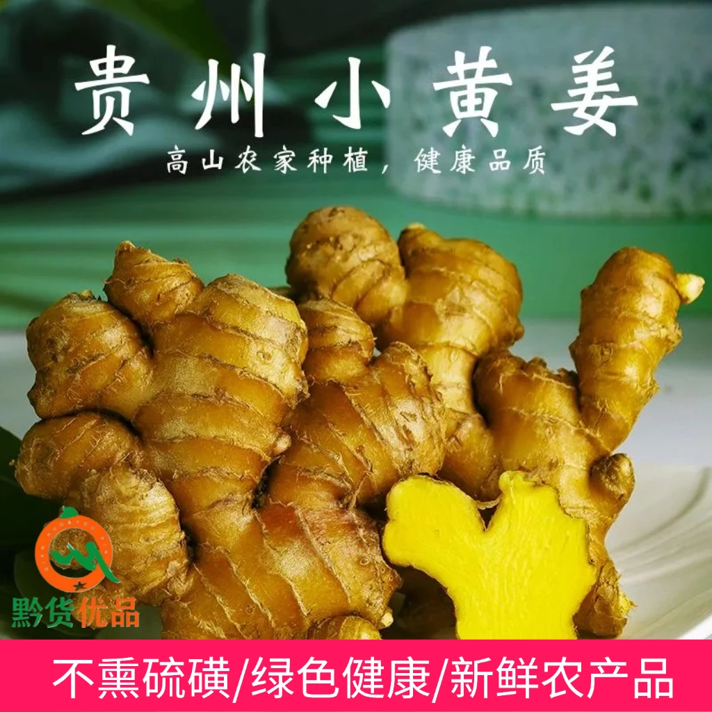 贵州高山小黄姜新鲜当季味浓辛辣现挖今年老姜批发健康绿色农产品
