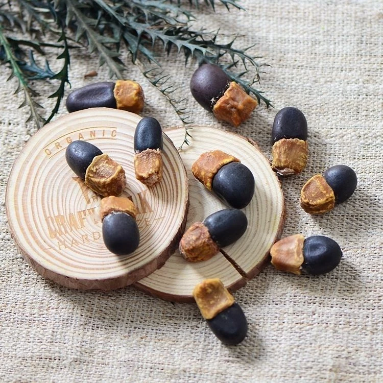 初醒云物塔克拉玛干金刚锁阳子茶大山自然晒干无硫熏