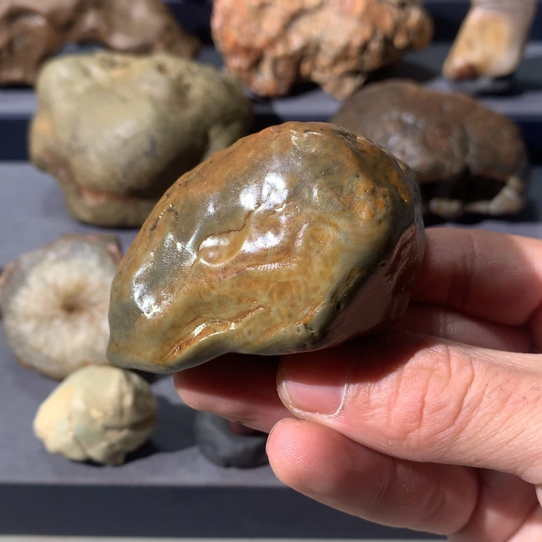 有机玻璃4 阿拉善奇石