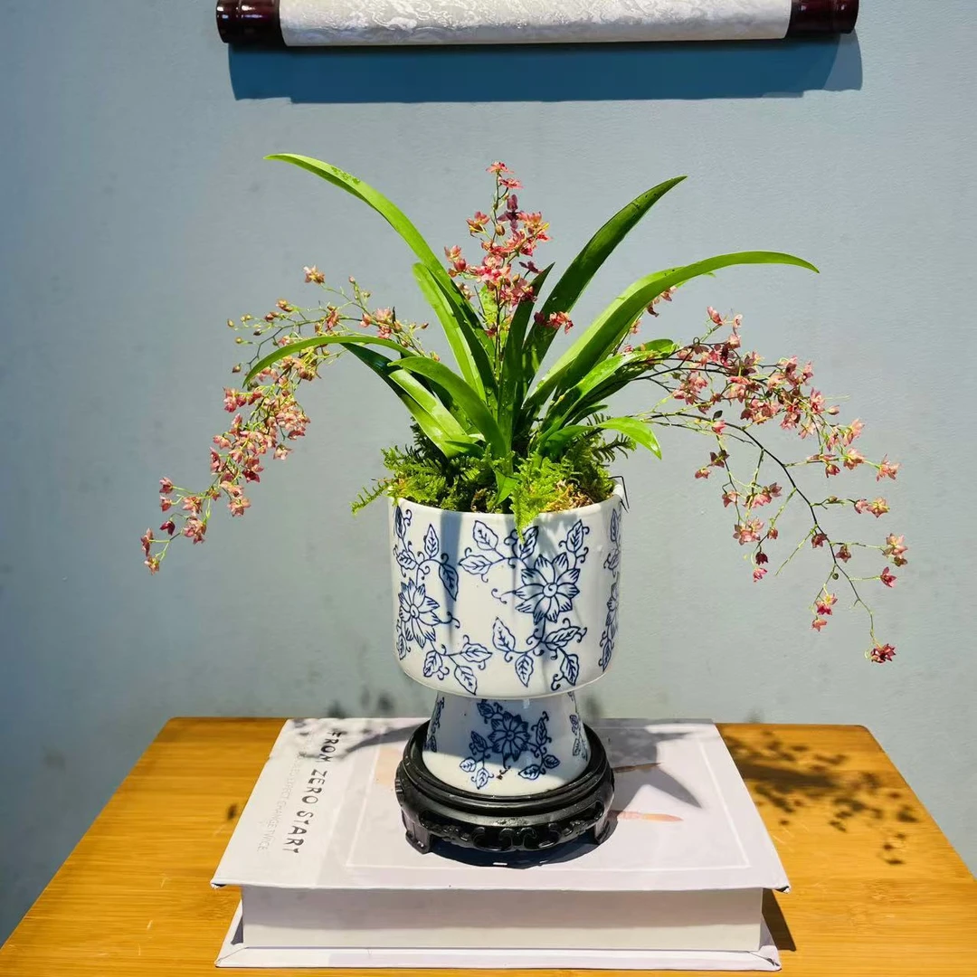 ZF莲花高脚青瓷梦香兰+镂空座