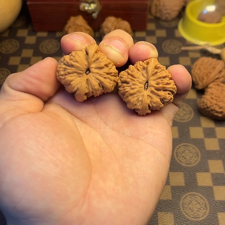 大叶紫檀（黑酸枝木类）