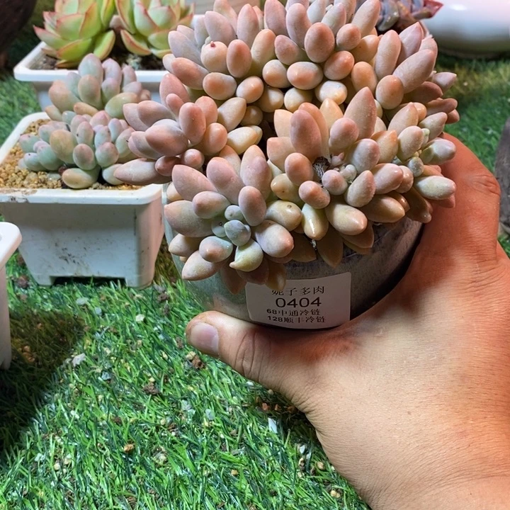 0404啊啊啊啊啊啊啊啊啊啊