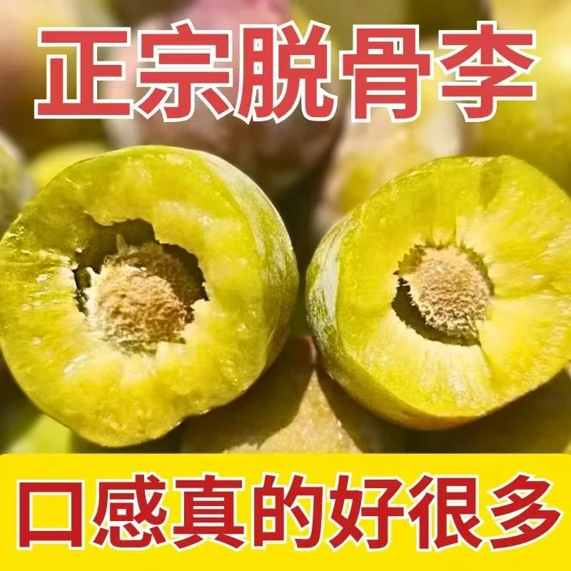 冰糖李脱骨甜脱骨李新鲜5斤李子整箱脆水果青应季现摘现发脆甜