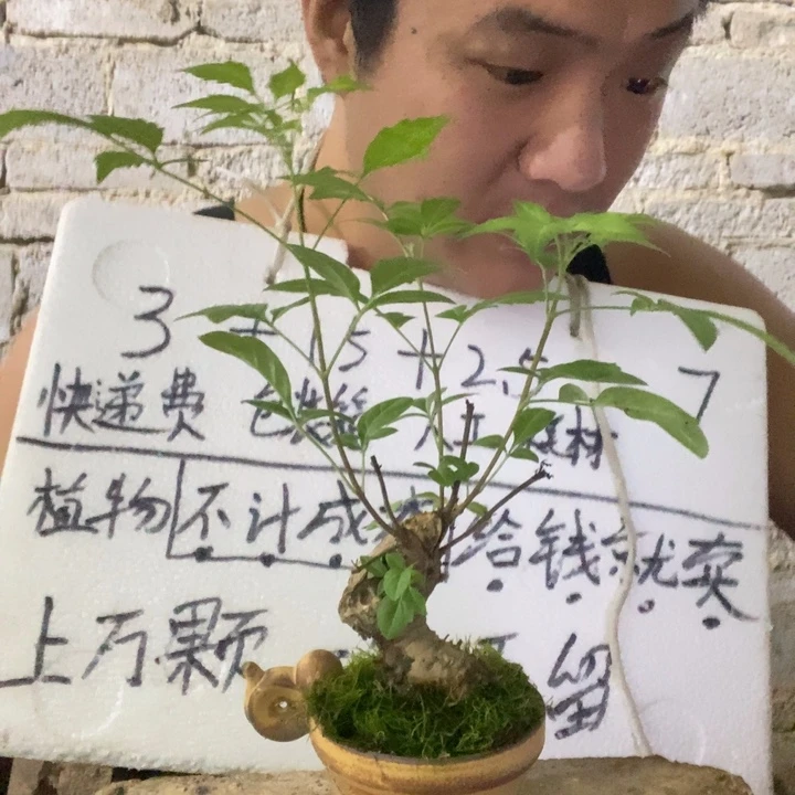 退款拉黑一物一拍223