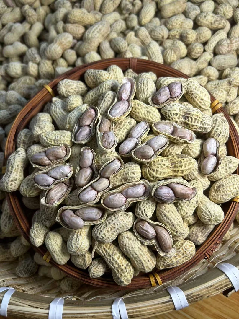 2025新果莆田本地农家水煮晒干花生