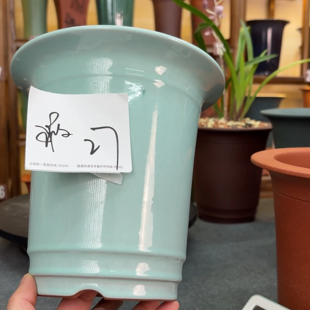 紫砂花盆兰花45555856688565885