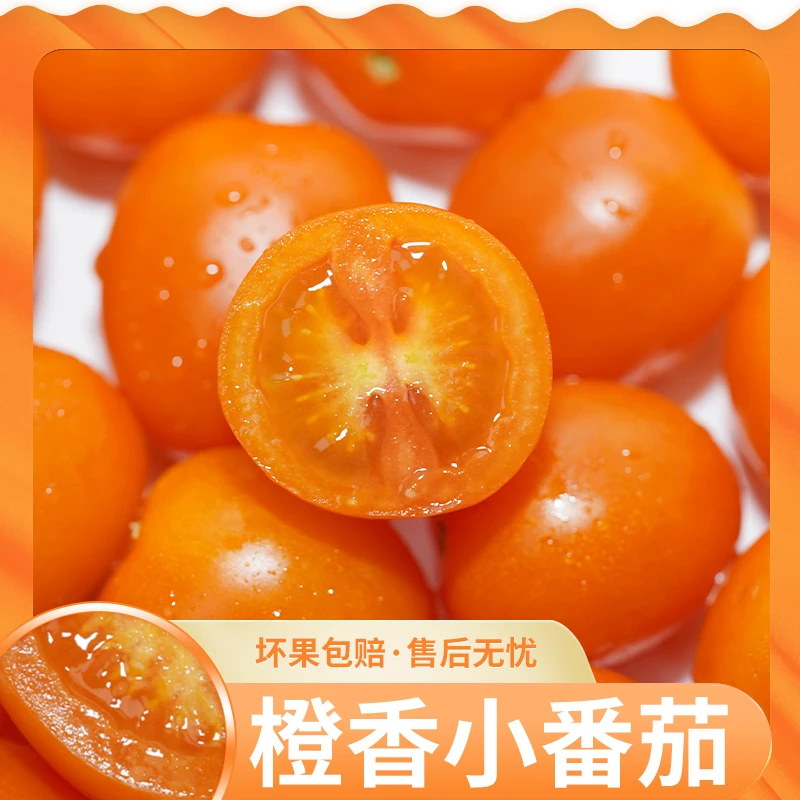 【遊园果纪】山东橙香小番茄2斤约60-90颗/3斤约90-130颗 顺丰/京东