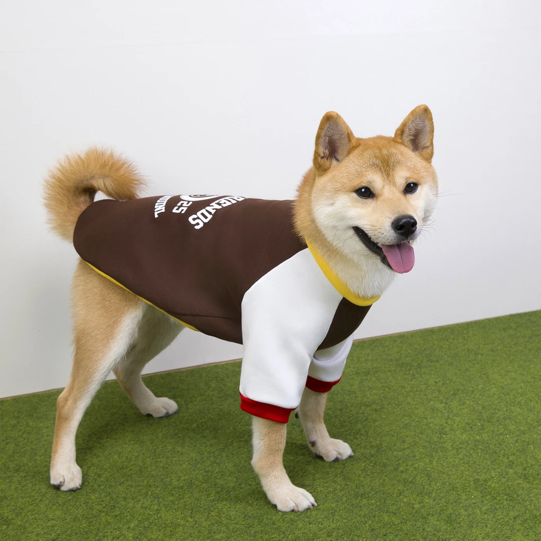 宠物秋冬季猫咪狗狗加绒卫衣中大型犬衣服宠物公版纯色卫衣