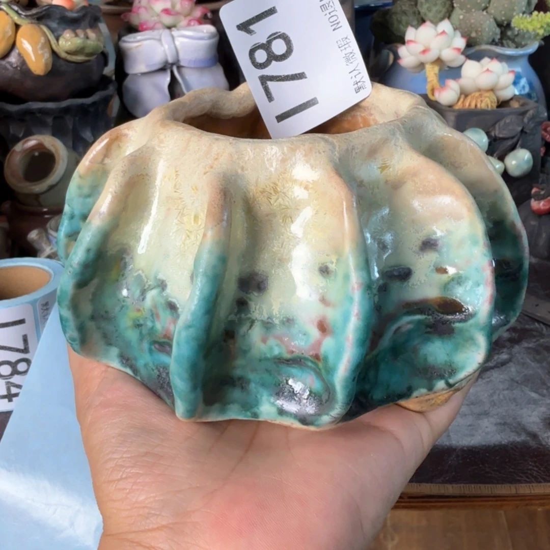 重庆小燕子欢迎大家781