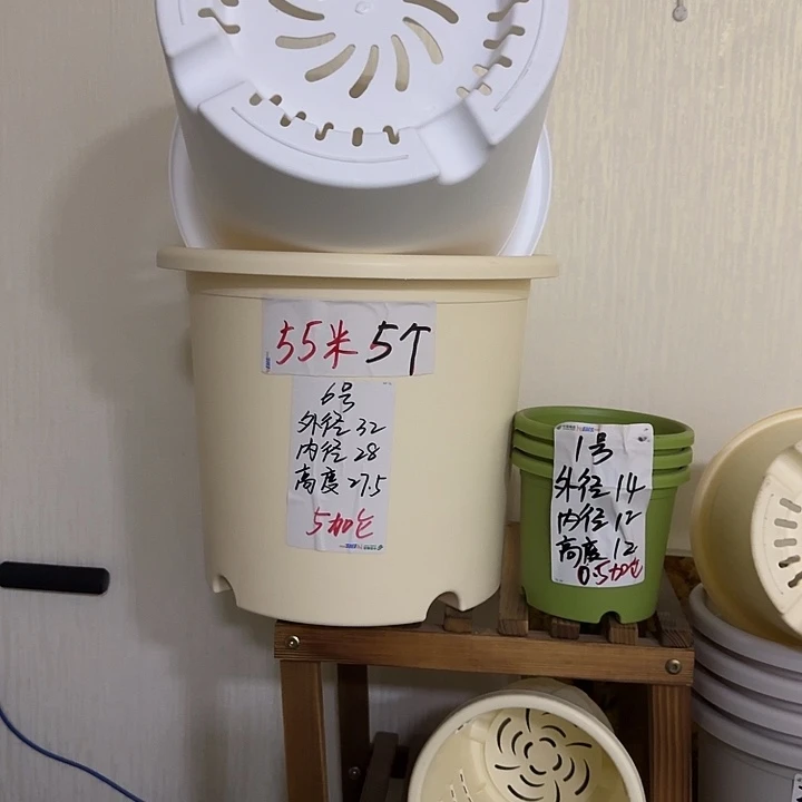 米黄色6号口径32高27无托7个