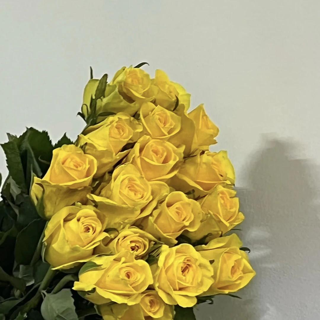 黄玫瑰花金枝玉叶朦胧绿黄色外瓣稀有高端鲜花