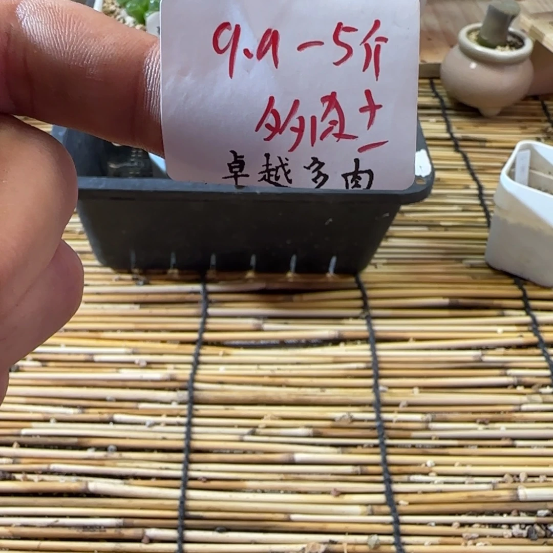 A***可一物一拍—-9.17-土