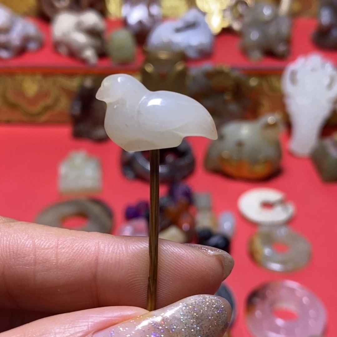 小动物。。。。。。。。。。。。