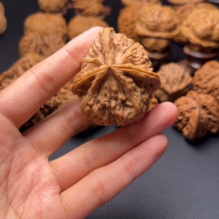 鲁**吃核桃哈哈哈哈哈哈哈哈哈哈