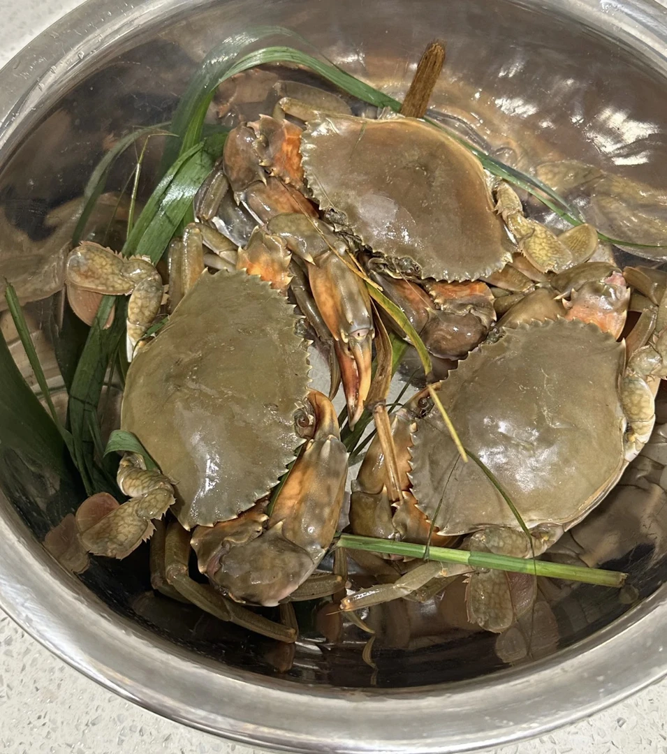 大螃蟹大肉蟹青蟹公蟹【去绳子单只净重3-4两活发（包活）不能放冰箱