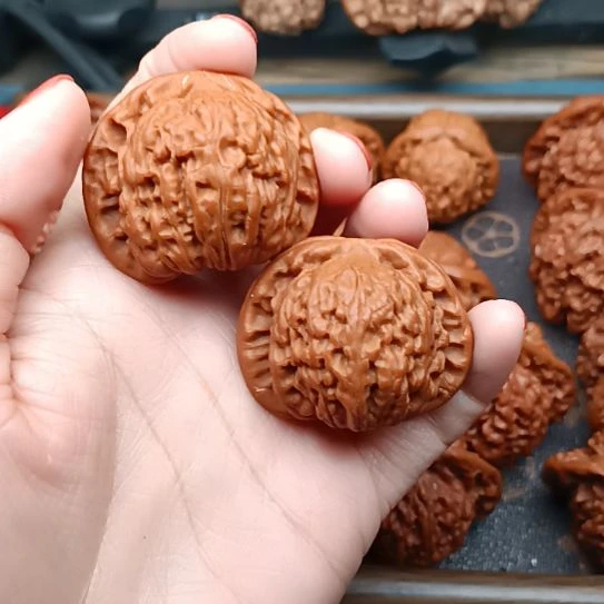 核桃白狮子头狮子头
