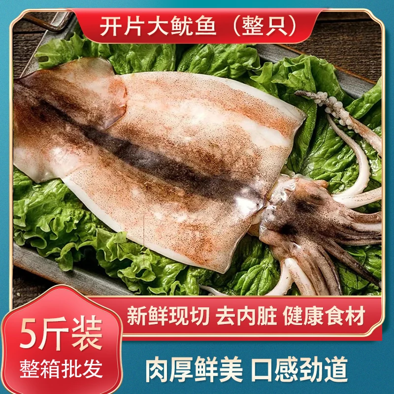 【5斤 去内脏大鱿鱼】新鲜整只大鱿鱼新鲜开片海鲜深海水产速冻26