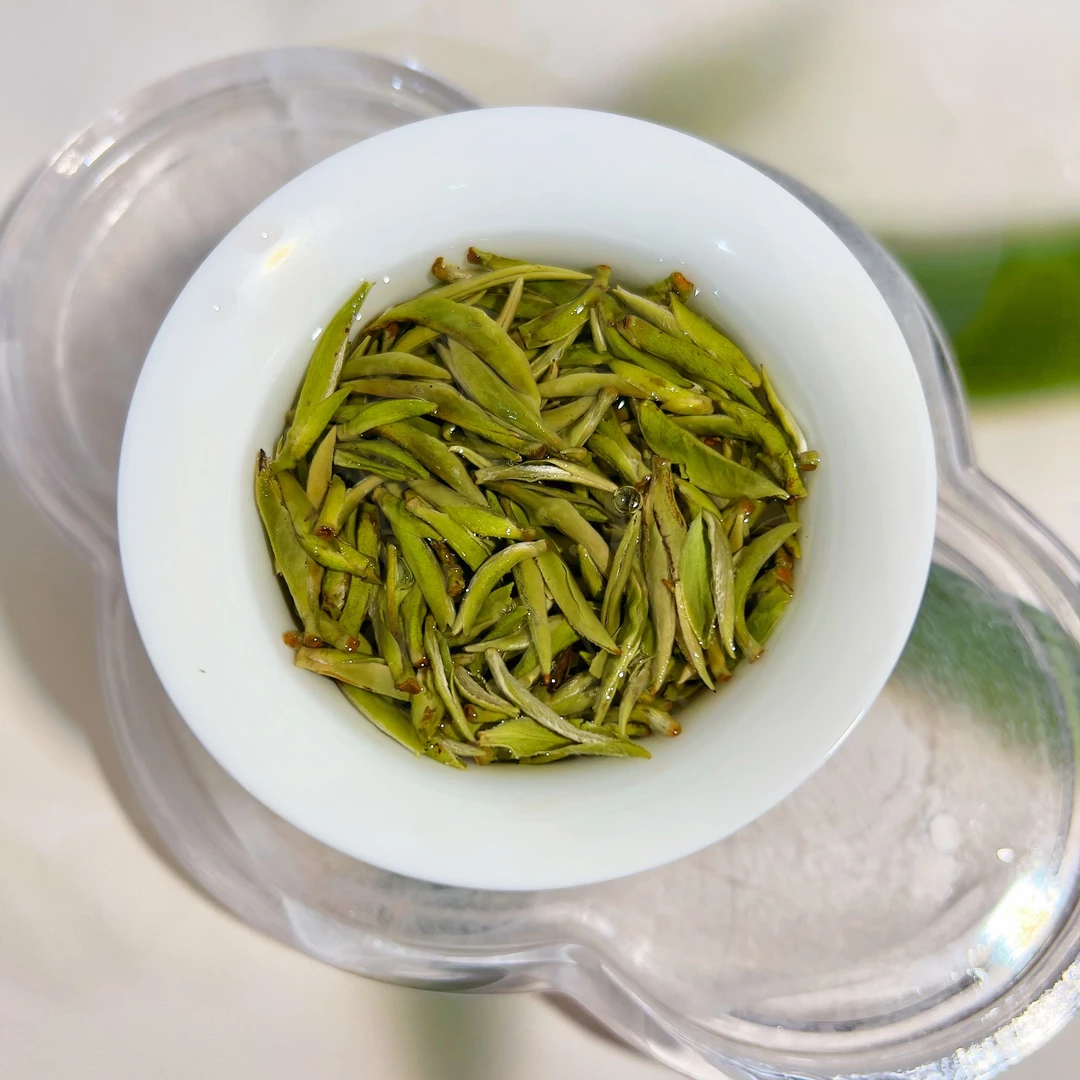 （普照山银针）2025年白毫银针高山正宗福鼎白茶送礼老树