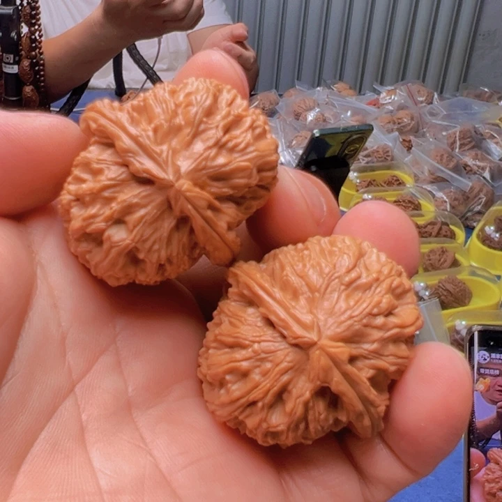 文玩核桃把件ʚ***ɞ全品白狮子头