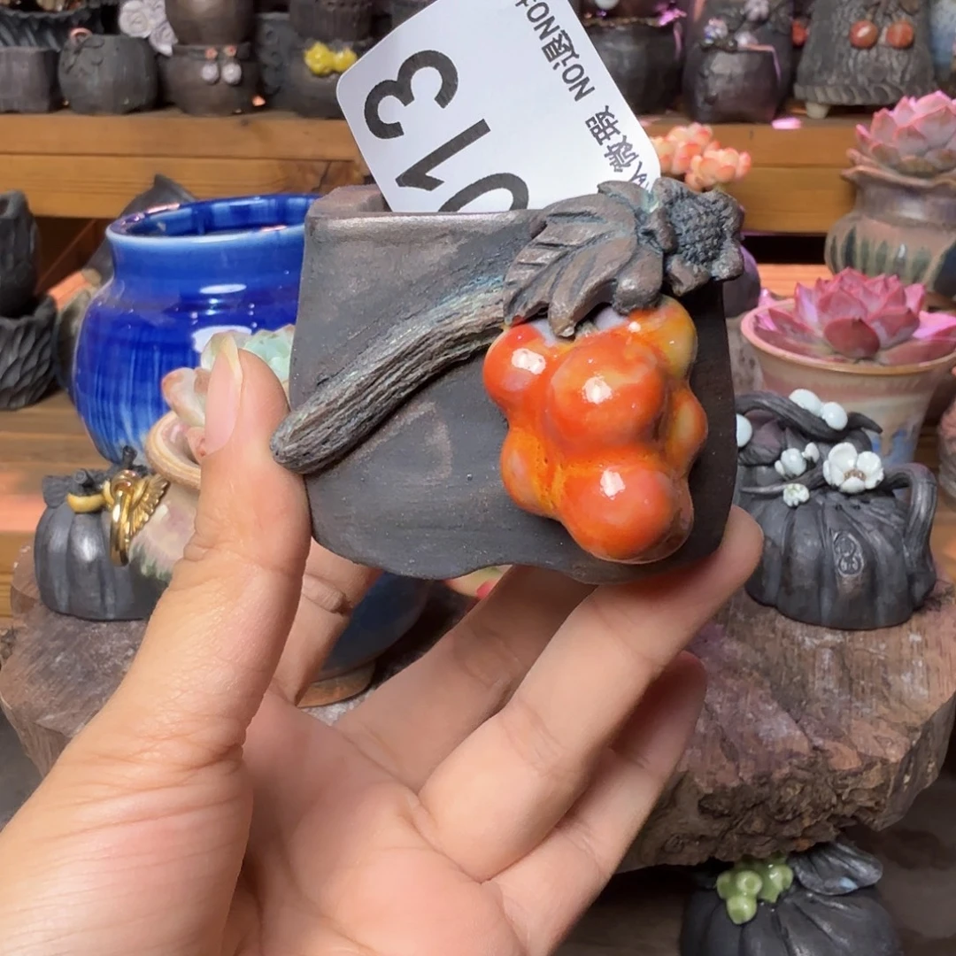 重庆小燕子欢迎大家013