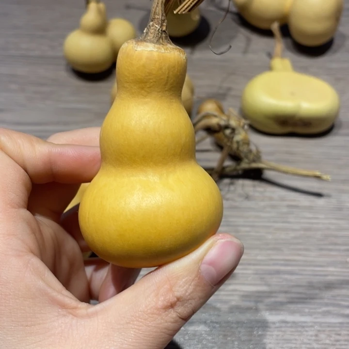 帕***尼葫芦葫芦葫芦葫芦