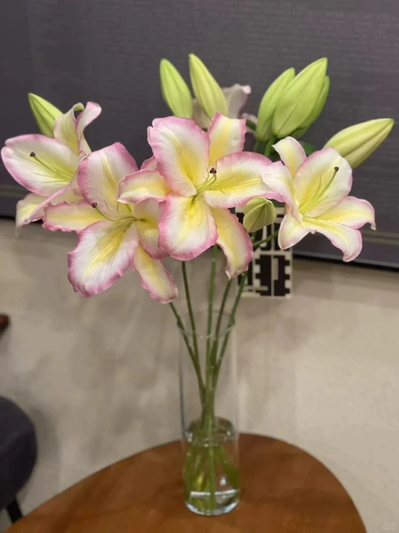 【花满堂】百合 彩虹 云南鲜花一单包邮 发货后不支持退款
