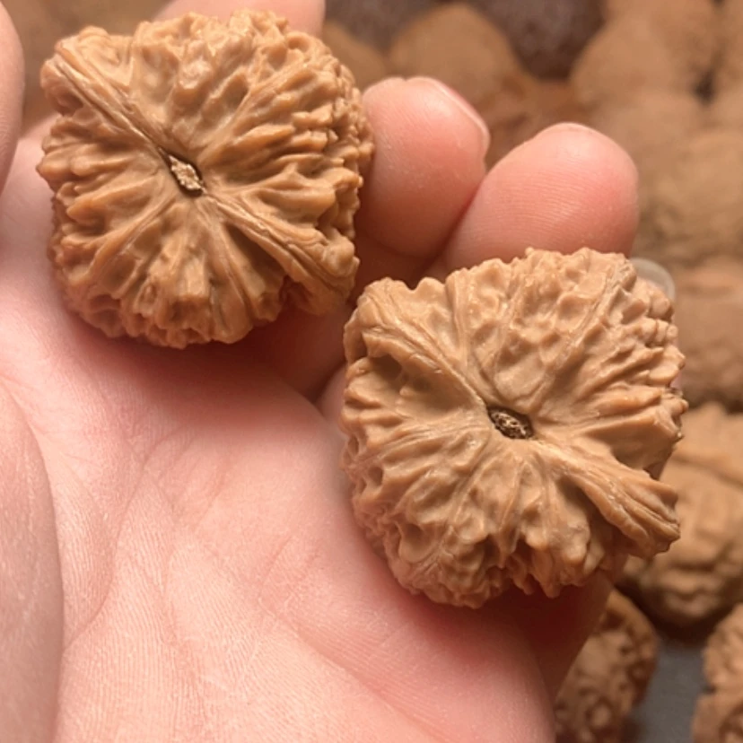 【闪购商品】南疆石