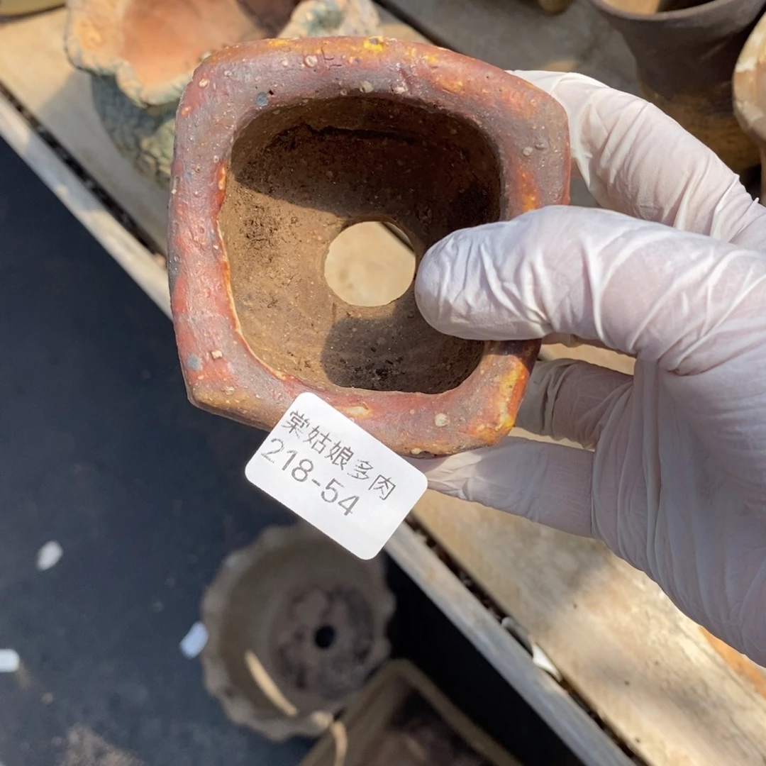 红陶࿐****54号多肉盆瑕疵瑕疵