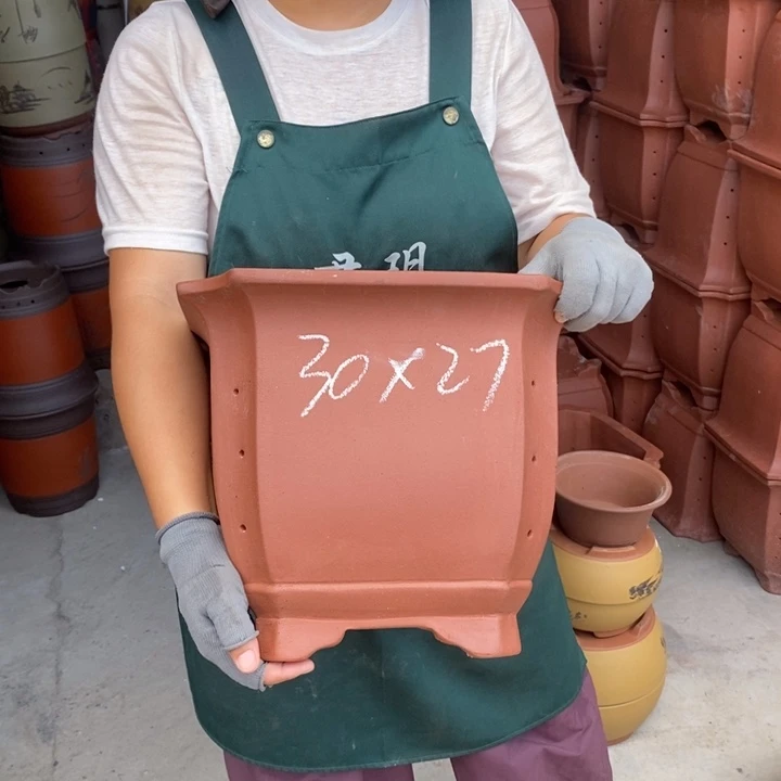 紫砂花盆盆栽花卉苗木种植