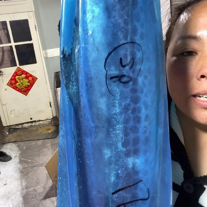 中国大陆渤海湾野生燕鲅鱼26号