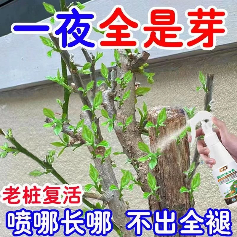 老桩催芽僵苗快速新芽黄叶营养通用菌立清复活