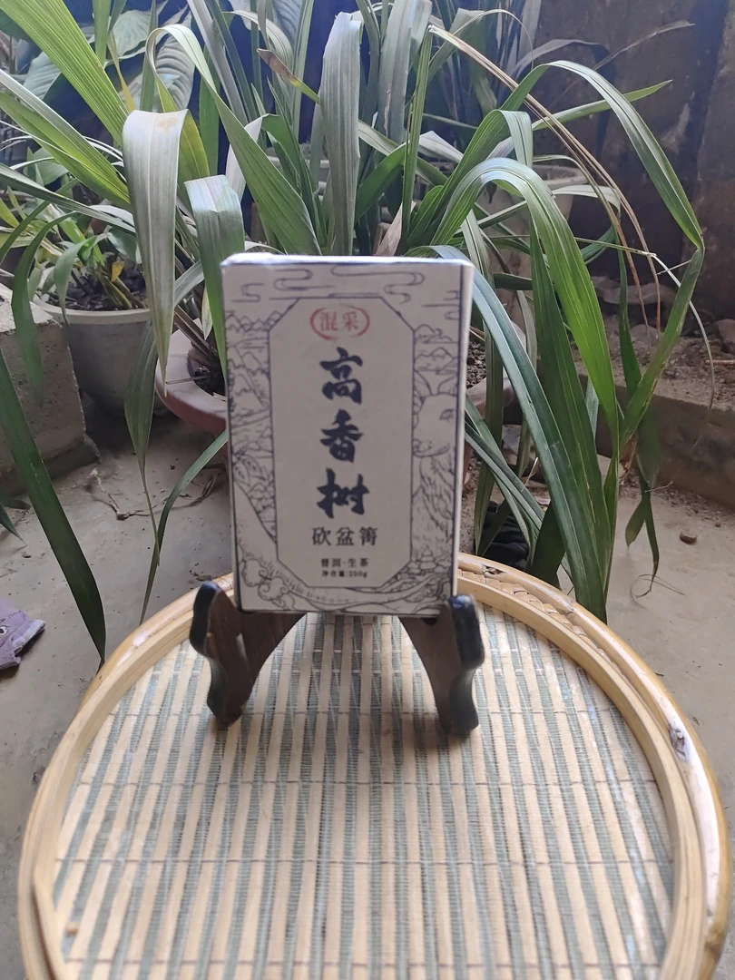 2023年砍盆箐 高香树混采普洱生茶砖250克M11号