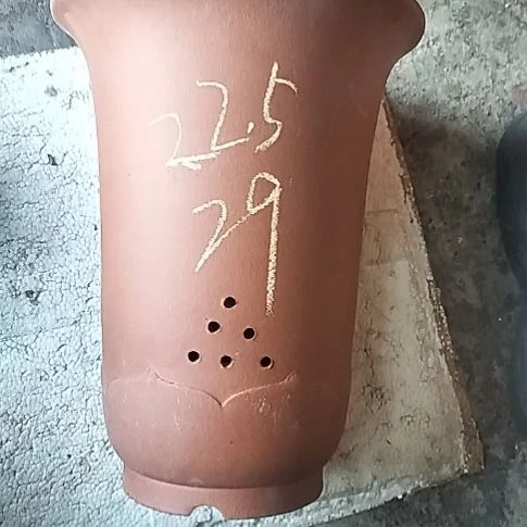 红泥莲花金钟一个