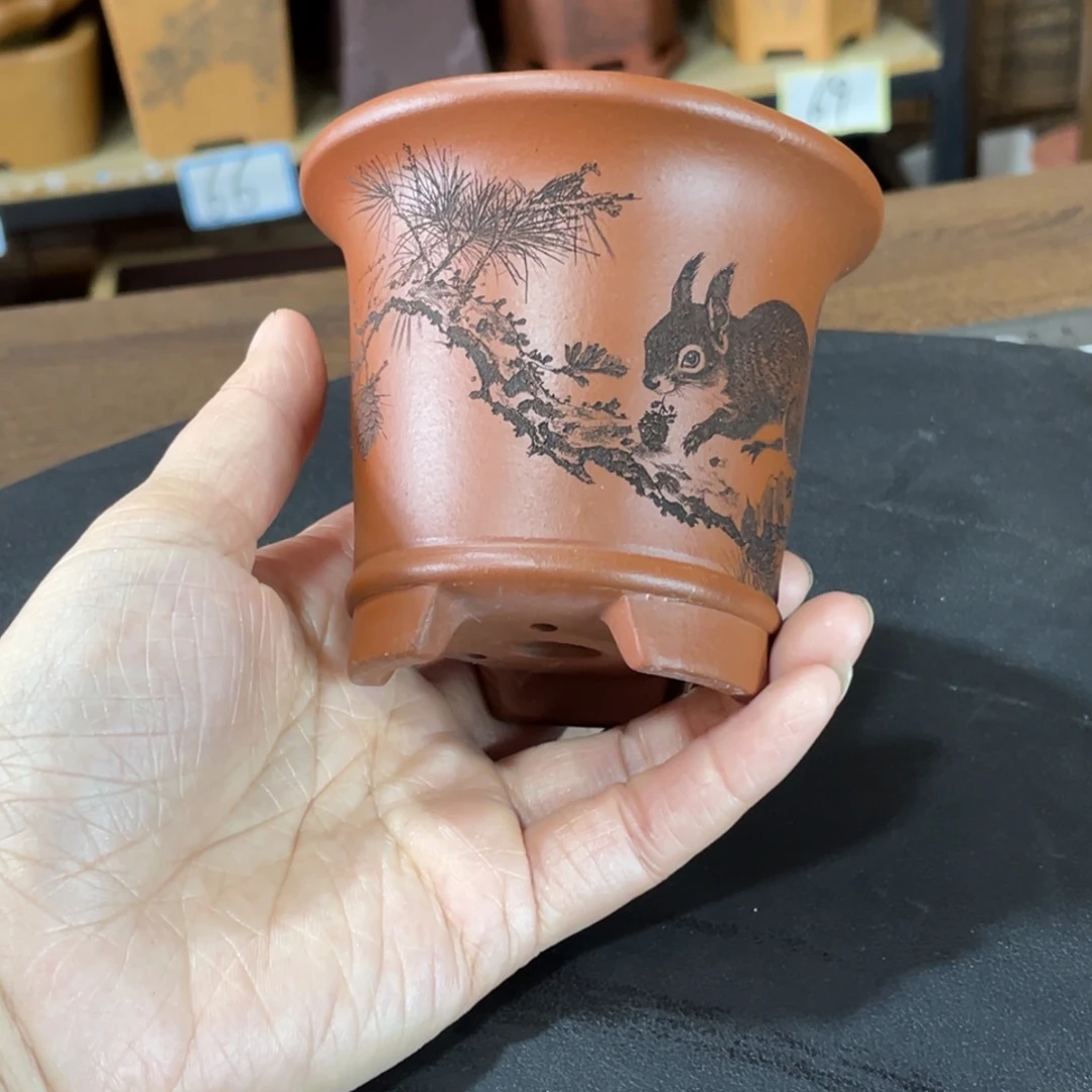 花盆紫砂啊呀阿好
