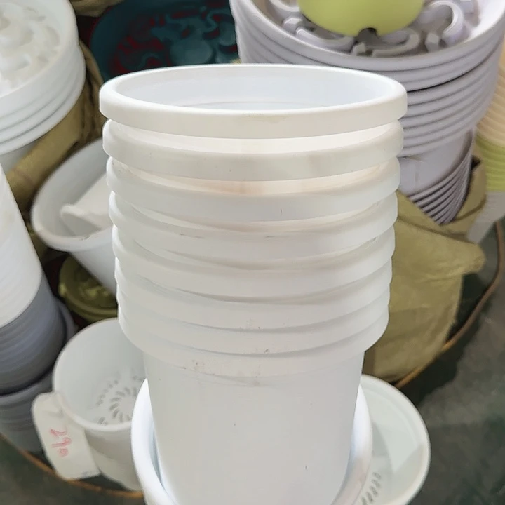 瑕疵3#白色10个无托