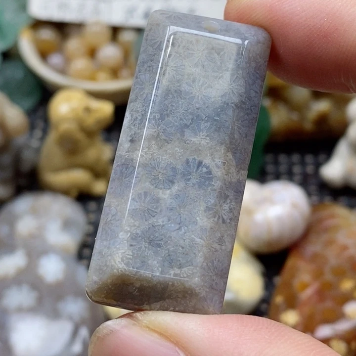 硅化珊瑚（珊瑚玉）颈饰未镶嵌