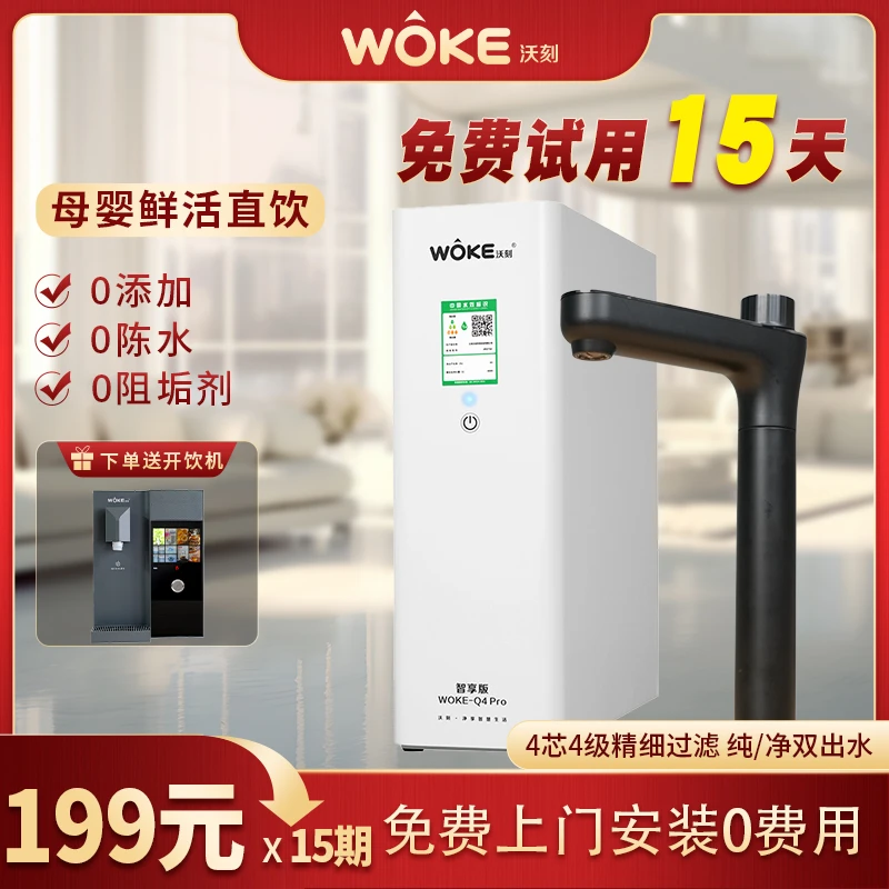 WOKE/沃刻终端净水RO膜反渗透厨下净水纯水机澎湃出水199*15DL