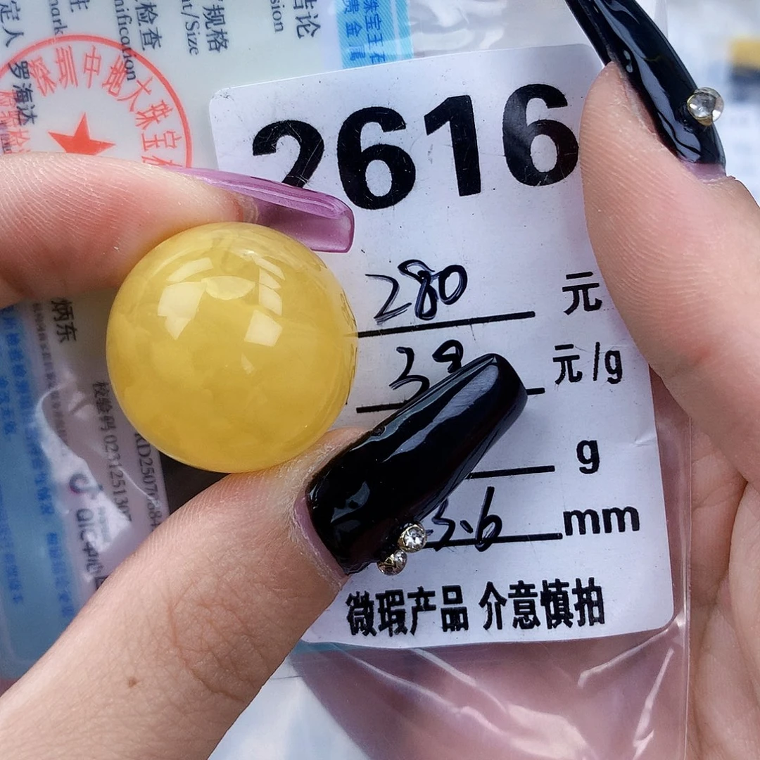 琥珀未镶嵌珠宝奇石23.6植物