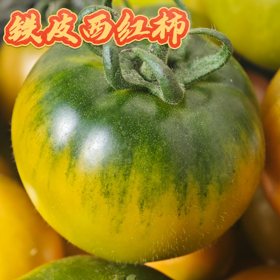 铁皮西红柿 现摘现发口感酸甜自然成熟小时候味道京东包邮到家