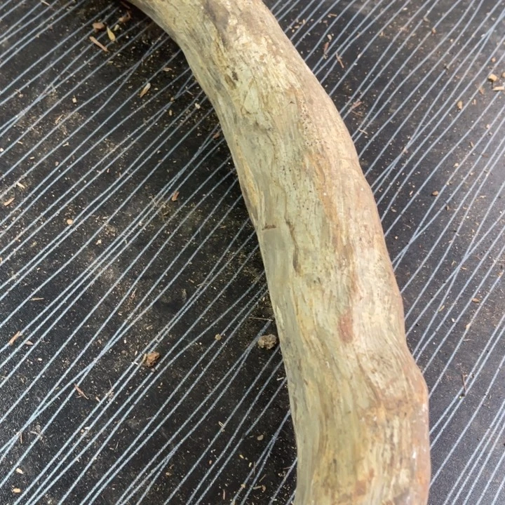 尚***求柏木（崖柏）太行崖柏陈化香料