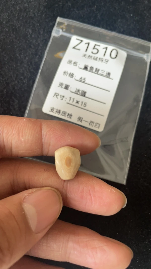 Z1510天然猛犸牙鲨鱼背配饰三通